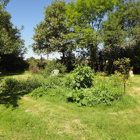 Tranquille Vienne Gites A Chirac Dept Charente Екстер'єр фото