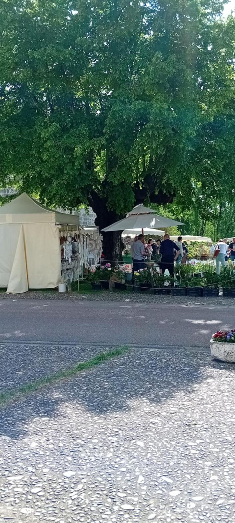 Tranquille Vienne Gites A Chirac Dept Charente Екстер'єр фото